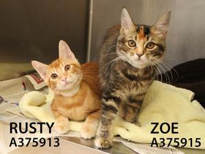 Rusty and Zoe Rusty and Zoe