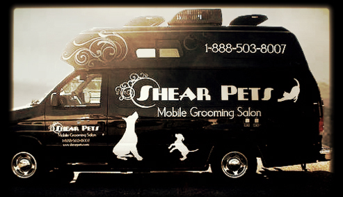 Shear pets Shear pets