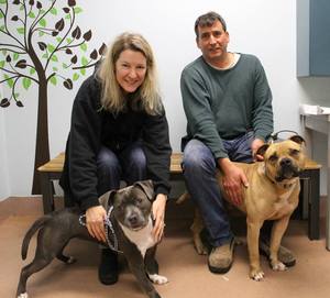 Diamond and Knowledge adopted together Diamond and Knowledge adopted together